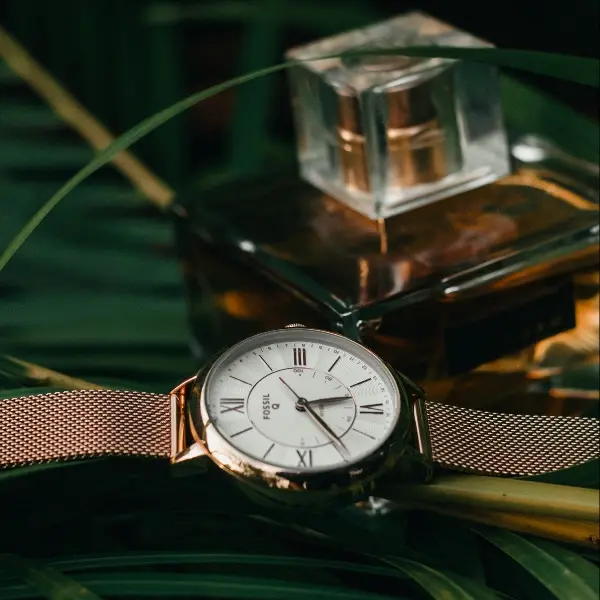 graphique-sur-la-duree-de-tenue-dun-parfum.webp